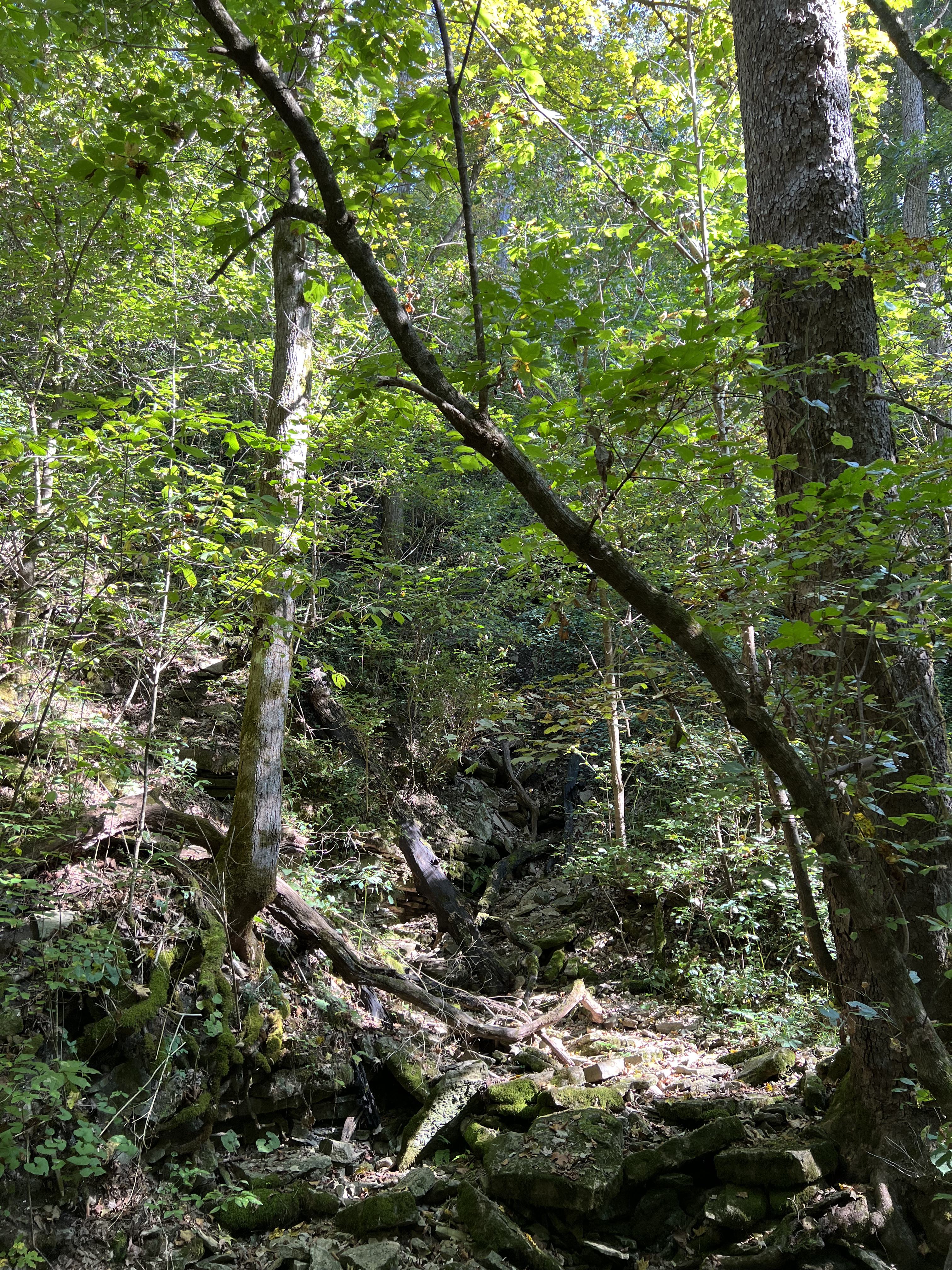 ./2023/12 - Kentucky/IMG_0136.jpg